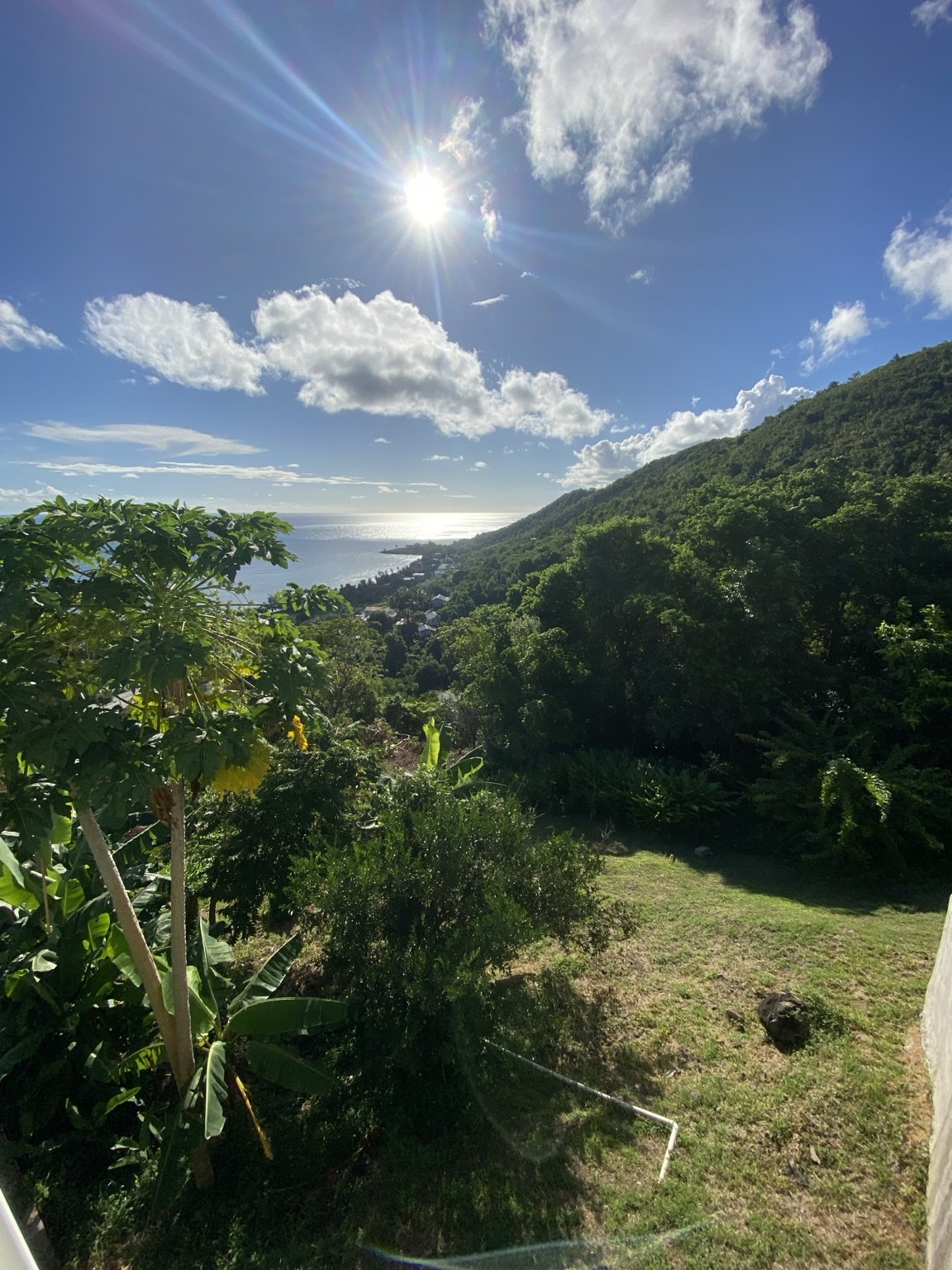 View from the apartment